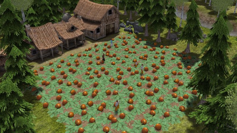 File:Pumpkins.jpg